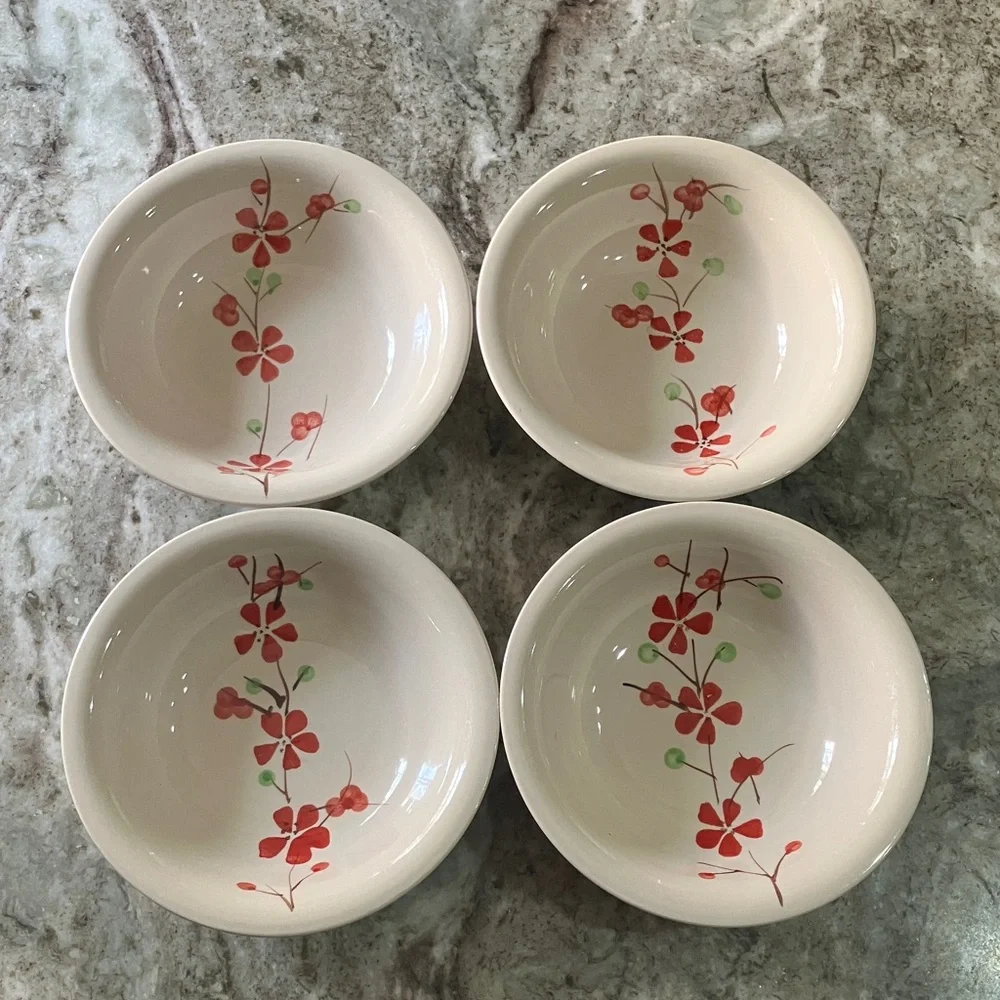 Coupe Cereal Bowl PER180 by PIER 1 Set Of 4